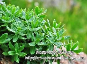 آیا من می توانم دیالیز مرحله نهایی نارسایی مزمن کلیوی رد