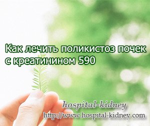 Как лечить поликистоз почек с креатинином 590