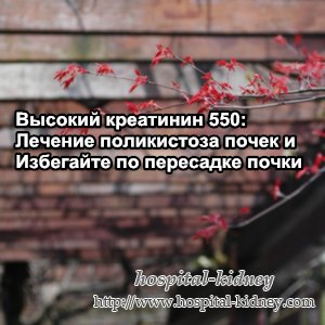 Высокий креатинин 550: Лечение поликистоза почек и Избегайте по пересадке почки