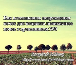 Как восстановить повреждения почек для пациента поликистоза почек с креатинином 360