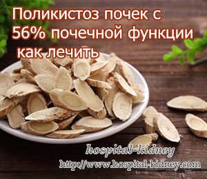 Поликистоз почек с 56% почечной функции как лечить