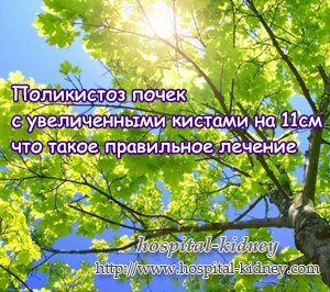 Поликистоз почек с увеличенными кистами на 11см что такое правильное лечение