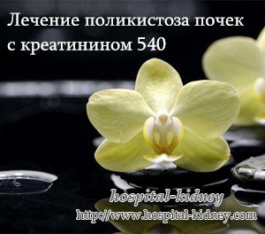 Лечение поликистоза почек с креатинином 540