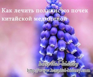 Как лечить поликистоз почек китайской медициной