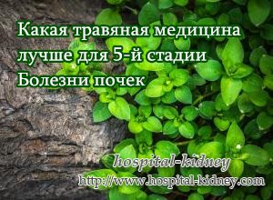 Какая травяная медицина лучше для 5-й стадии Болезни почек