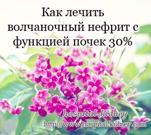 Как лечить волчаночный нефрит с функцией почек 30%