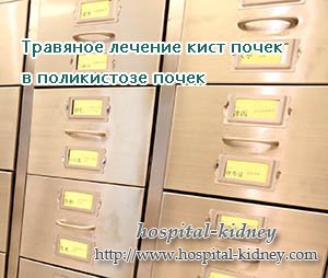 Травяное лечение кист почек в поликистозе почек