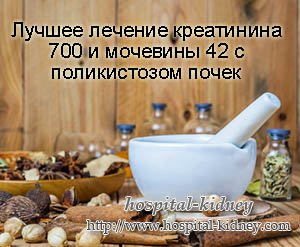 Лучшее лечение креатинина 700 и мочевины 42 с поликистозом почек