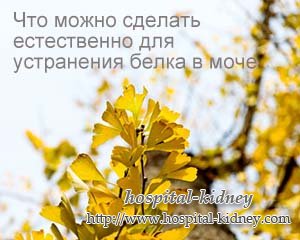 Что можно сделать естественно для устранения белка в моче